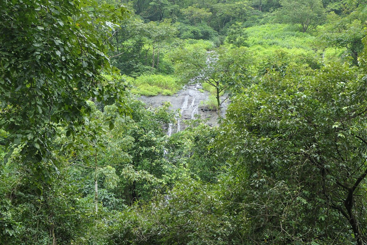 Della Adventure Park near Lonavala